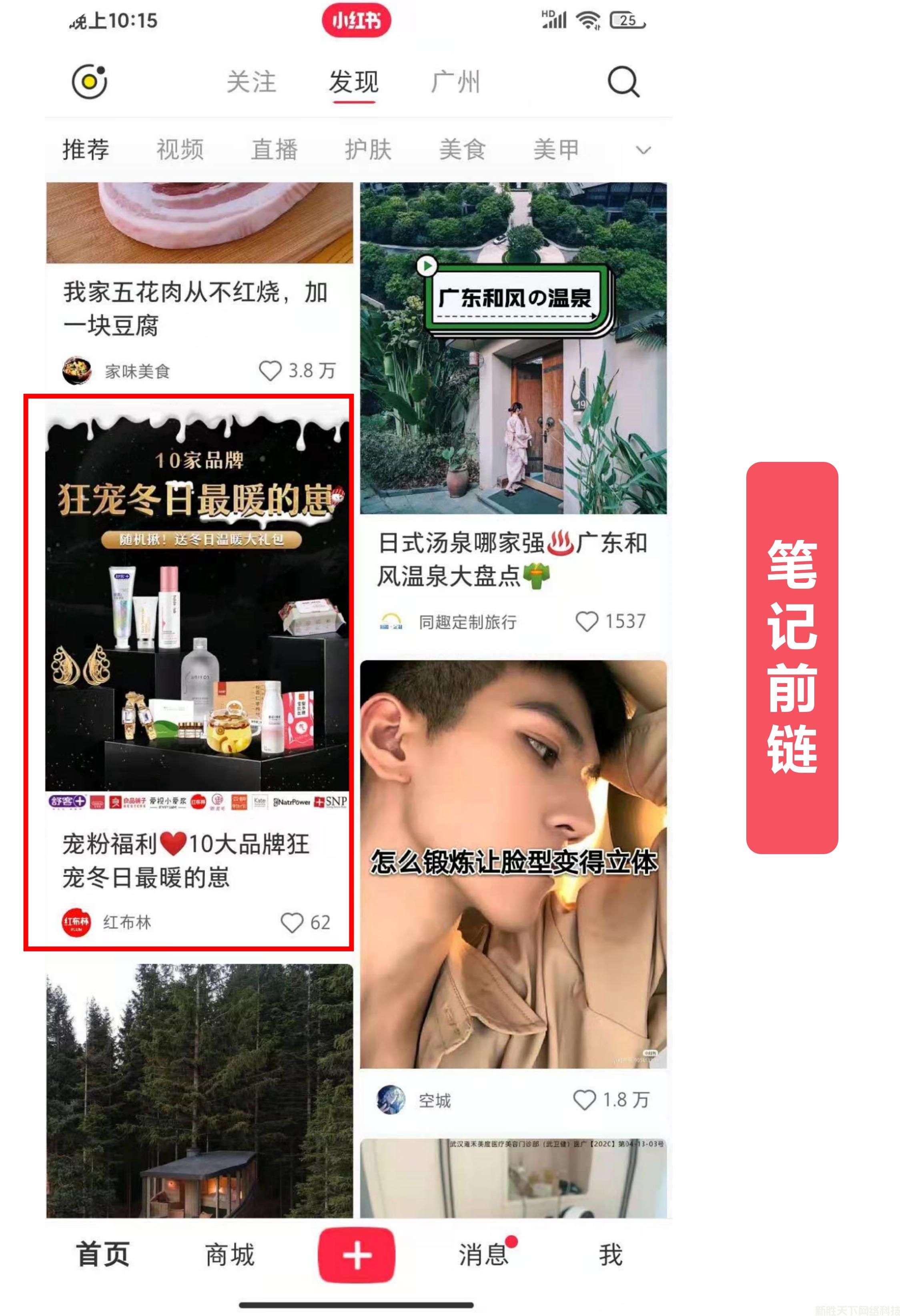 小红书推广案例展示——【红布林】(图1)