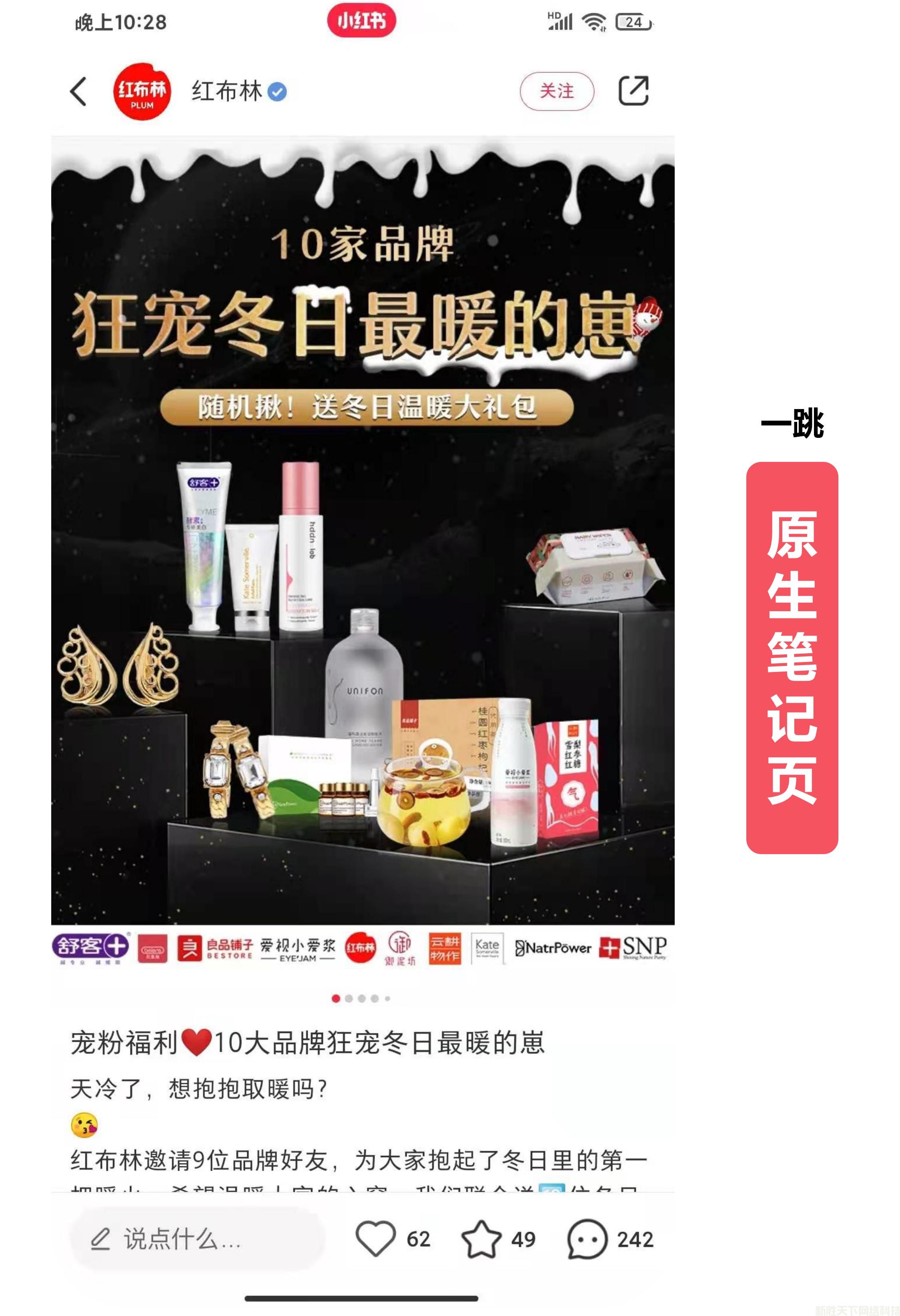 小红书推广案例展示——【红布林】(图2)